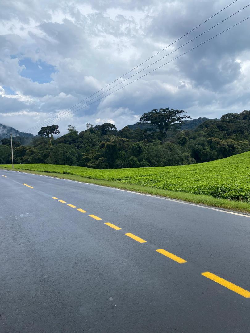 WhatsApp Image 2025-10-18 at 2.23.40 PM (2)