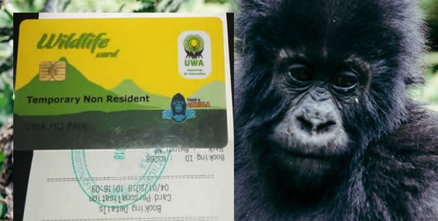 Discount-Gorilla-Permits